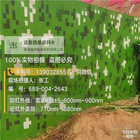 银川星空迷彩漆，夏令营训练,数码迷彩作训墙,围墙